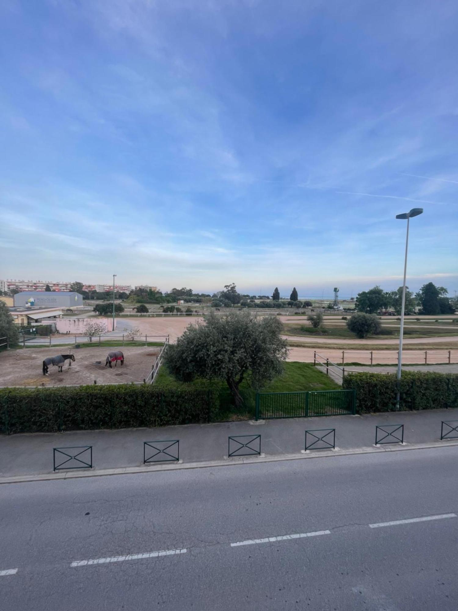 Beau Hippodrome * Cagnes-sur-Mer